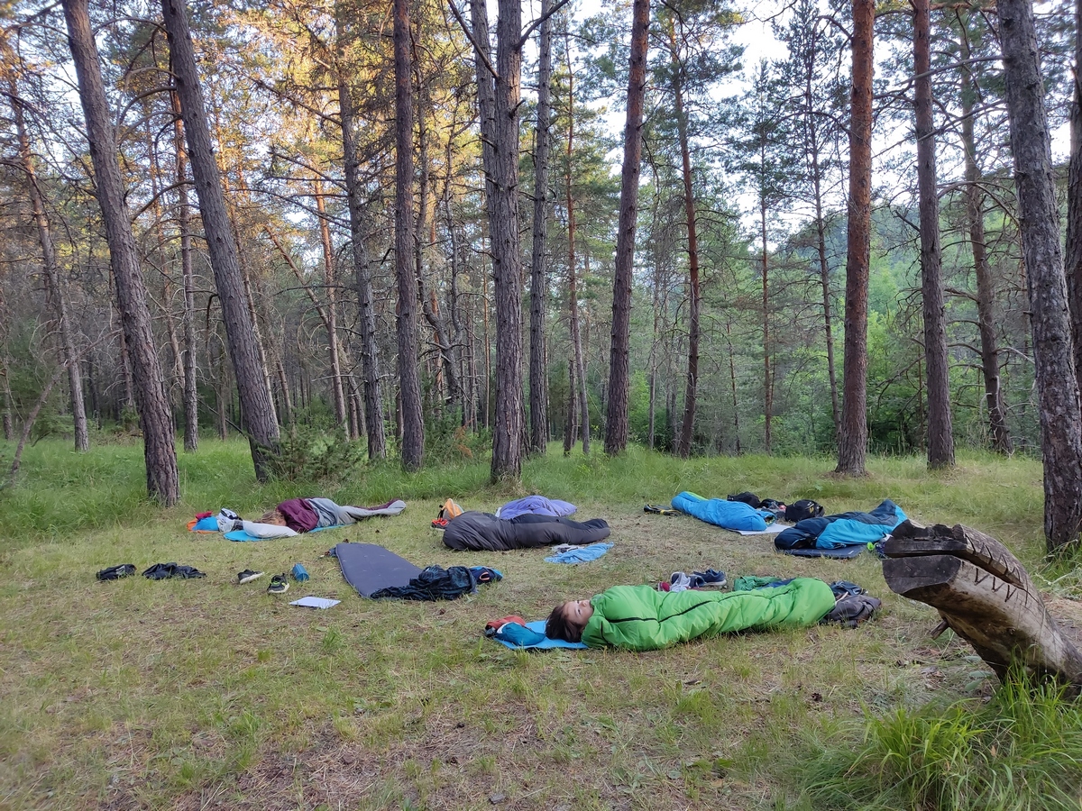CDN bivouac sous les arbres