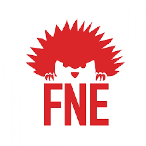 FNE