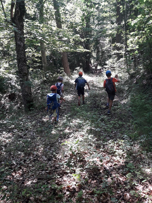 PPN 2020 foret 1200x700 webp