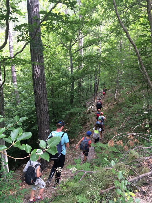 PPN 2021 foret 1200x700 webp